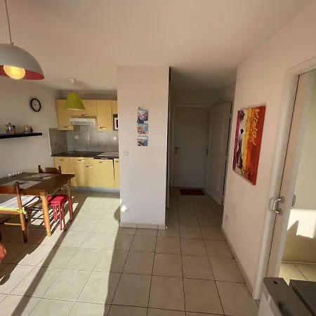 Bel T2 Avec Garage, Terrasse Et Animaux Admis - Saint-cyprien - Fr-1-106-96 סן סיפריאן