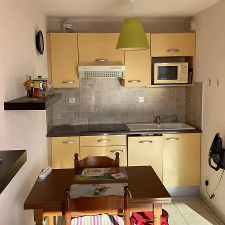 Bel T2 Avec Garage, Terrasse Et Animaux Admis - Saint-cyprien - Fr-1-106-96 Appartement Saint-Cyprien (Pyrenees-Orientales)