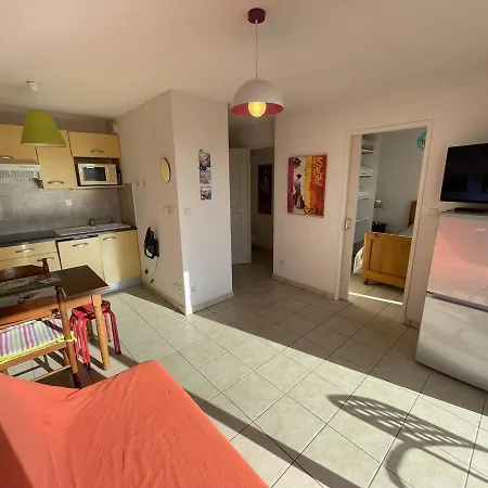 Bel T2 Avec Garage, Terrasse Et Animaux Admis - Saint-cyprien - Fr-1-106-96