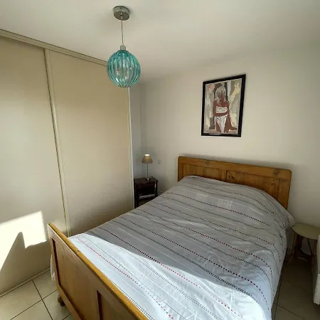 Bel T2 Avec Garage, Terrasse Et Animaux Admis - Saint-cyprien - Fr-1-106-96 Appartement *