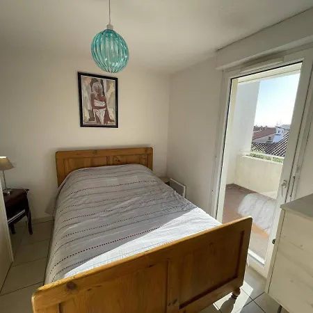Bel T2 Avec Garage, Terrasse Et Animaux Admis - Saint-cyprien - Fr-1-106-96