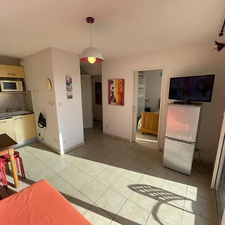 Bel T2 Avec Garage, Terrasse Et Animaux Admis - Saint-cyprien - Fr-1-106-96 דירה