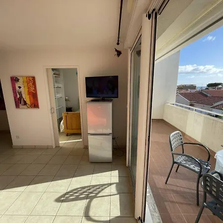 Bel T2 Avec Garage, Terrasse Et Animaux Admis - Saint-cyprien - Fr-1-106-96 דירה *