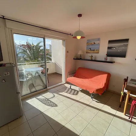 Bel T2 Avec Garage, Terrasse Et Animaux Admis - Saint-cyprien - Fr-1-106-96 דירה