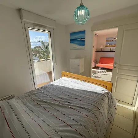 Bel T2 Avec Garage, Terrasse Et Animaux Admis - Saint-cyprien - Fr-1-106-96 דירה *