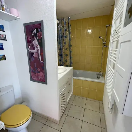 דירה Bel T2 Avec Garage, Terrasse Et Animaux Admis - Saint-cyprien - Fr-1-106-96