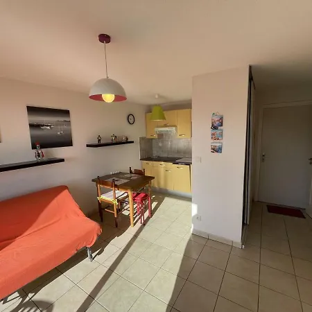 Bel T2 Avec Garage, Terrasse Et Animaux Admis - Saint-cyprien - Fr-1-106-96