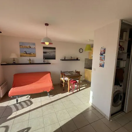 Bel T2 Avec Garage, Terrasse Et Animaux Admis - Saint-cyprien - Fr-1-106-96