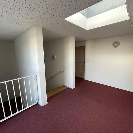דירה Bel T2 Avec Garage, Terrasse Et Animaux Admis - Saint-cyprien - Fr-1-106-96 *