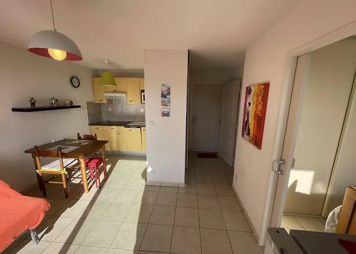 Bel T2 Avec Garage, Terrasse Et Animaux Admis - Saint-cyprien - Fr-1-106-96 Saint-Cyprien (Pyrenees-Orientales)