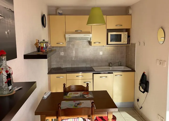 Bel T2 Avec Garage, Terrasse Et Animaux Admis - Saint-cyprien - Fr-1-106-96 Appartement Saint-Cyprien (Pyrenees-Orientales)