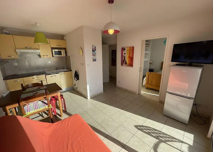 Bel T2 Avec Garage, Terrasse Et Animaux Admis - Saint-cyprien - Fr-1-106-96