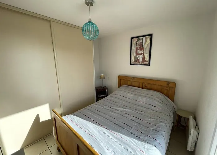 Bel T2 Avec Garage, Terrasse Et Animaux Admis - Saint-cyprien - Fr-1-106-96 Appartement *