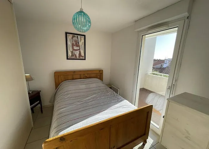 Bel T2 Avec Garage, Terrasse Et Animaux Admis - Saint-cyprien - Fr-1-106-96