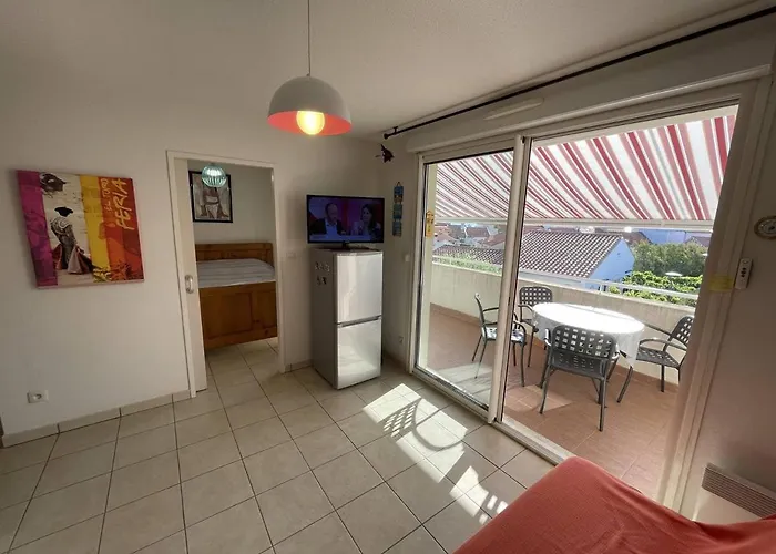 Bel T2 Avec Garage, Terrasse Et Animaux Admis - Saint-cyprien - Fr-1-106-96 Saint-Cyprien (Pyrenees-Orientales)