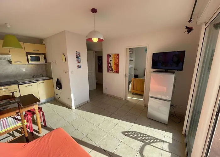 Bel T2 Avec Garage, Terrasse Et Animaux Admis - Saint-cyprien - Fr-1-106-96 Appartement
