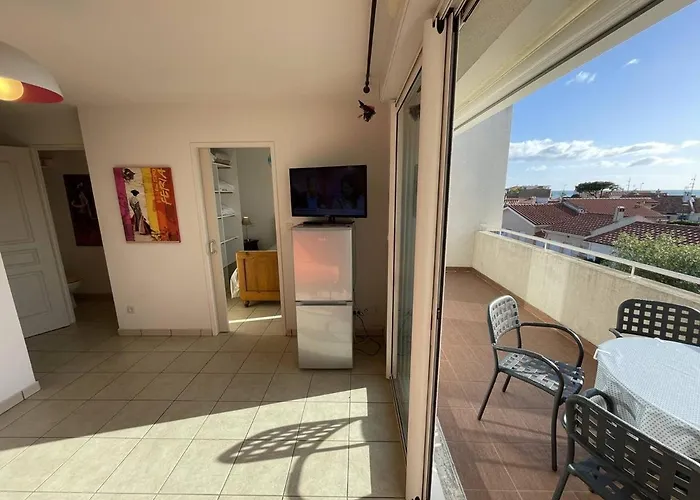 Bel T2 Avec Garage, Terrasse Et Animaux Admis - Saint-cyprien - Fr-1-106-96 Appartement *