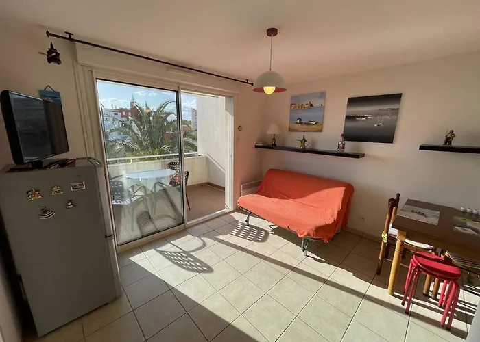 Bel T2 Avec Garage, Terrasse Et Animaux Admis - Saint-cyprien - Fr-1-106-96 Appartement