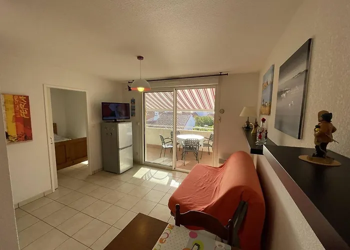 Bel T2 Avec Garage, Terrasse Et Animaux Admis - Saint-cyprien - Fr-1-106-96 Appartement Saint-Cyprien (Pyrenees-Orientales)