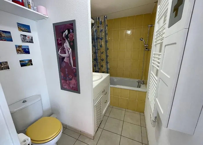 Appartement Bel T2 Avec Garage, Terrasse Et Animaux Admis - Saint-cyprien - Fr-1-106-96
