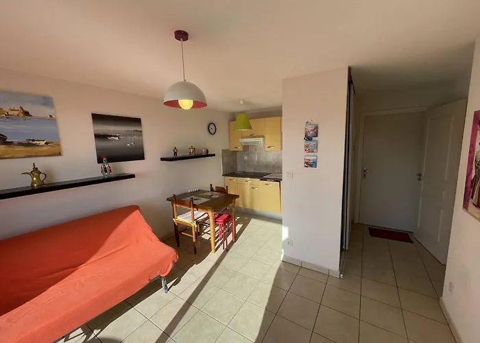 Bel T2 Avec Garage, Terrasse Et Animaux Admis - Saint-cyprien - Fr-1-106-96