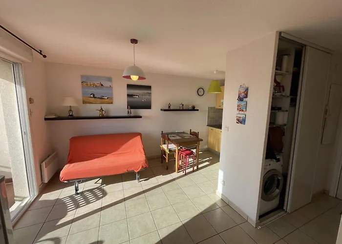 Bel T2 Avec Garage, Terrasse Et Animaux Admis - Saint-cyprien - Fr-1-106-96