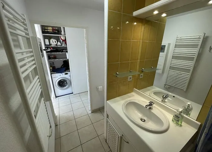 Appartement Bel T2 Avec Garage, Terrasse Et Animaux Admis - Saint-cyprien - Fr-1-106-96
